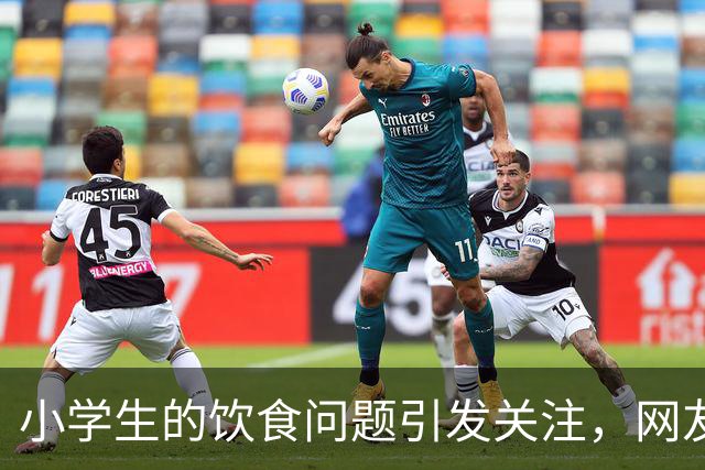 小学生的饮食问题引发关注，网友呼吁重视营养